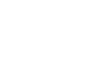 ShineMate